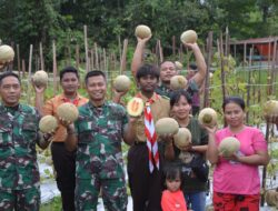 Dandim 1710/Mimika Pimpin Panen Tanaman Melon di Lahan Kodim