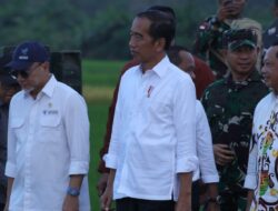 Panglima TNI Dampingi Presiden RI Tinjau Hanpangan Nasional di Merauke