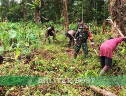Babinsa Koramil 1710-03/Kuala Kencana Komsos dengan Petani di Wilayah Binaan