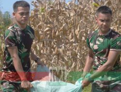 Korem 012 Dukung Swasembada Pangan, Inilah yang Sudah Dilakukannya
