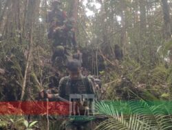 Perbatasan RI-Malaysa, Satgas Pamtas Yonarmed 11 Kostrad Lakukan Patroli Patok