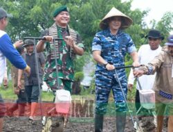 Dukung Swasembada Pangan 2025, Pangkoopsud II dan Forkopimda Sulsel Tanam 1 Juta Hektar Jagung