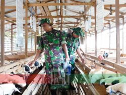 Perkuat Kemandirian Pangan Berkelanjutan, TNI-IPB Bentuk Kompi Produksi