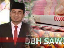 Kisruh DBH Sawit Kota Solok: Walikota Hati-Hati jangan termakan Fitnah!