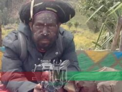 TNI lumpuhkan Wakil Panglima OPM Kodap XII di Papua Pegunungan