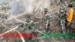 TNI Siagakan 73.766 Personel Tangani Karhutla
