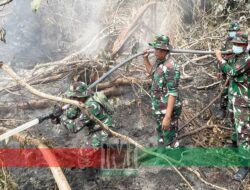 TNI Siagakan 73.766 Personel Tangani Karhutla